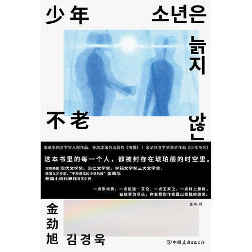 《少年不老》（从小被否定的人，永远活在自己世界的“少年”。9个短故事，堪称东亚都市神经症人格大全） 商品图1