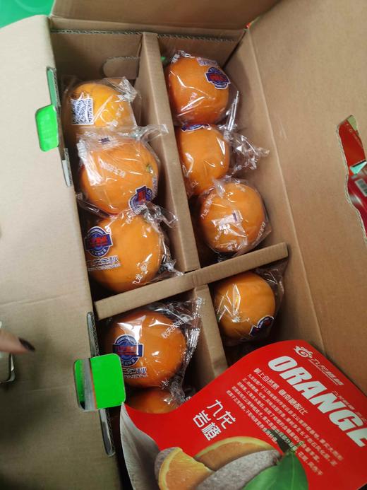 九龙 岩橙【纯甜】 商品图3