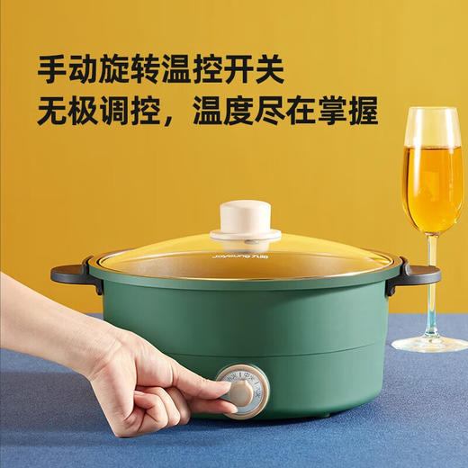 HG30-G310 电火锅多功能家用3升L电炖锅 复古绿3L 复古绿3L 商品图2