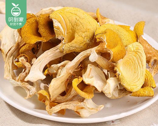 云南甄选黄金鸡油菌/1包（约250g）生产日期：26年4月 商品图4