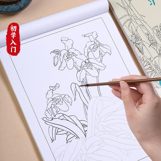 【福利】中国画白描全套6册白描动物花卉人物控笔临摹画册绘画国画山水画临摹描摹 商品图2