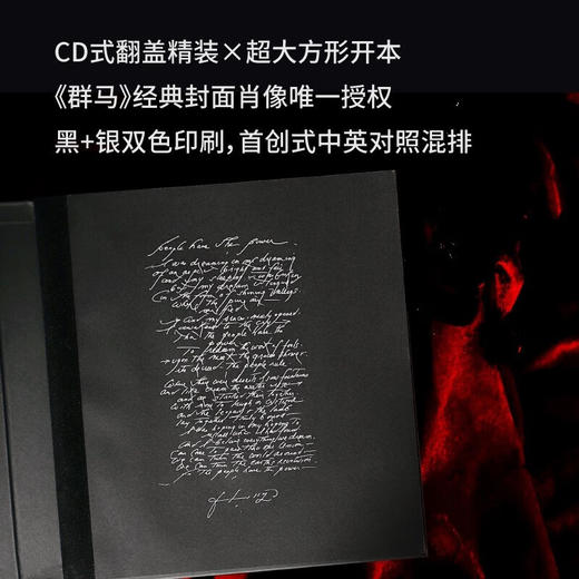 诗与歌：帕蒂·史密斯 1970—2015（中英对照典藏版） 商品图3