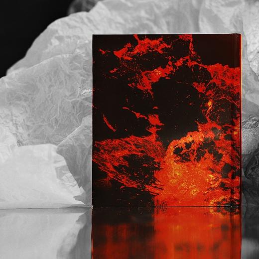 体内火焰 陈思安 著 商品图2