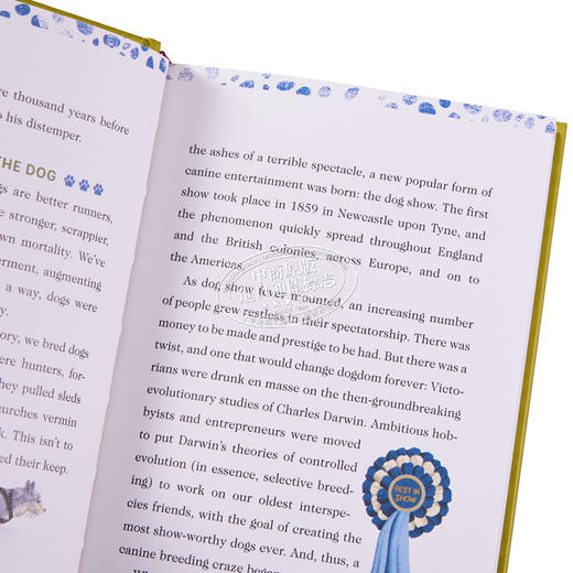 【中商原版】这是一本给爱狗的人的书 This Is a Book for People Who Love Dogs 英文原版 Meg Freitag 狗狗图鉴 商品图2