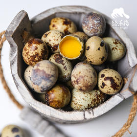 生态鹌鹑蛋| 绿家自产* Eco- quail egg | Self-production