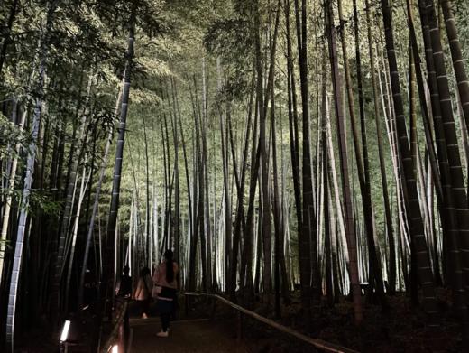 大阪出发 京都一日游 黄金路线 巴士之旅【需二次确认】B-0046 商品图3