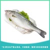 鲈鱼 约650g±50g/条 商品缩略图0