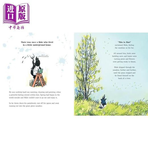 【中商原版】Wind in the Willows 谢泼德插画版:柳林风声 英文原版 进口图书 儿童文学 故事图画书 精品童书儿童读物经典 商品图2