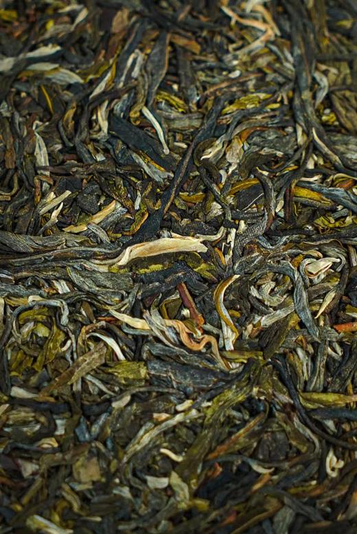 【秘境-2023头春】 500年野生古树茶 ， 让你领略原始森林里的狂野之韵 商品图9
