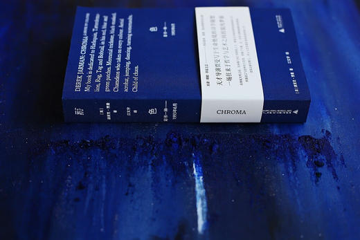 色：彩书一种——1993年6月 天才导演 德里克·贾曼 写于生命绝境的诗学随想 一场往来于哲学与艺术之间的混沌梦旅 商品图3