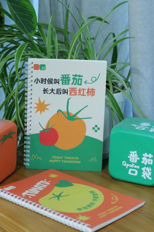 番茄口袋原创线圈本 商品图2