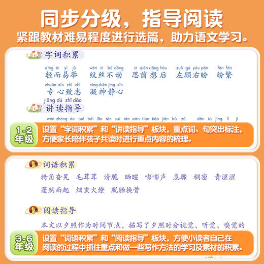 【斗半匠】读者晨诵晚读 商品图2