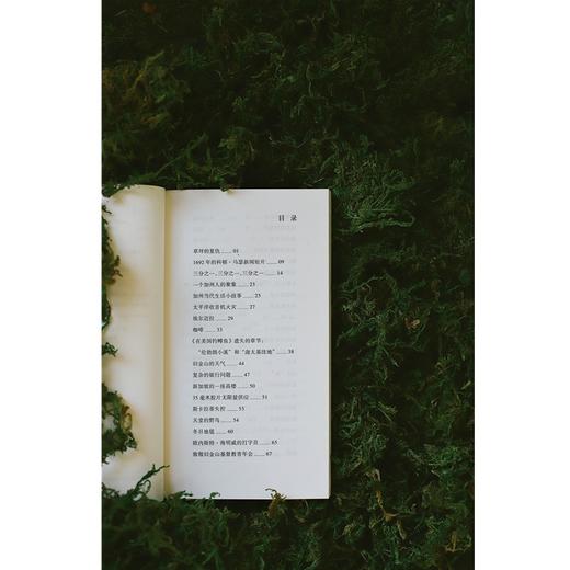 草坪的复仇（美）理查德·布劳提根 著 商品图5