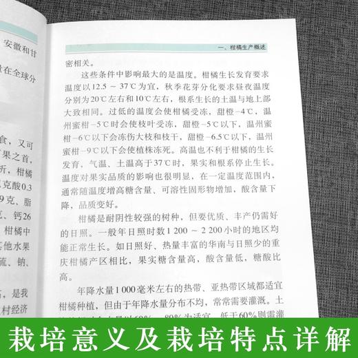 柑橘常见缺素症状图谱及矫正技术 【官方正版，可开发票，下单时留开票信息和电子邮箱】 商品图2
