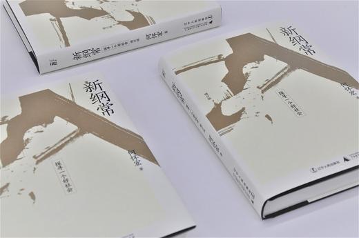 新纲常：探寻一个好社会（增订版） 何怀宏 著 商品图2