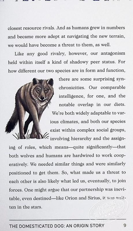 【中商原版】这是一本给爱狗的人的书 This Is a Book for People Who Love Dogs 英文原版 Meg Freitag 狗狗图鉴 商品图7