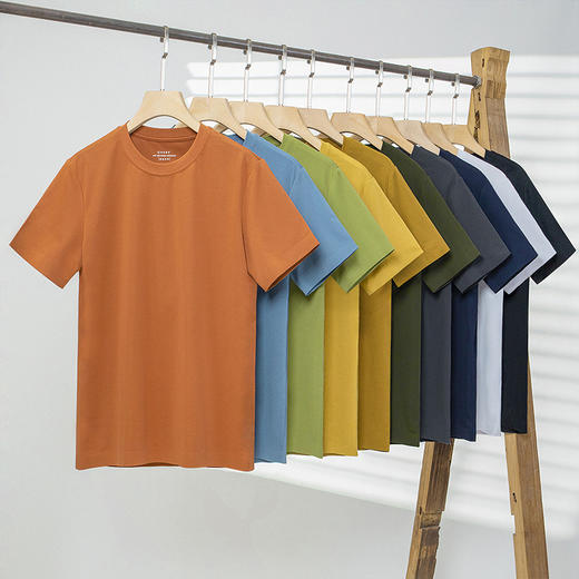 【森呼吸六号】桑蚕丝纯色百搭短袖T恤LGT001 商品图2