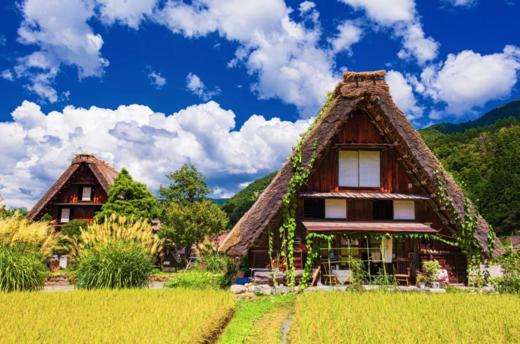 大阪或京都出发 白川乡 高山 2日游【需二次确认】B-0036 商品图0