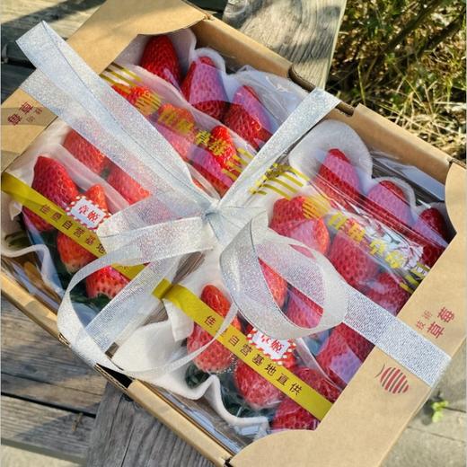 青岛佳垦草莓|日本种植方式的顶尖草莓♥️日本权威专家岩男吉昭全程指导呵护，全程按照日本佳特式草莓种植技术标准，日式水肥管理，蜜蜂授粉，果形均匀，全程无任何激素、头茬新果（草莓不可邮寄！！！） 商品图10