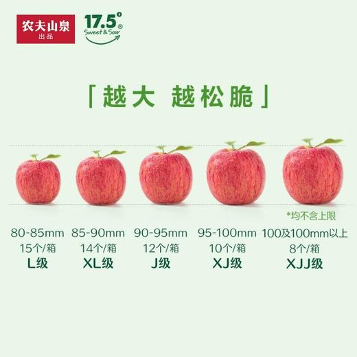 农夫17.5°苹果礼品件 约3.5kg/件 商品图2