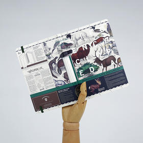 生活百科X九口山 B6绑带笔记本