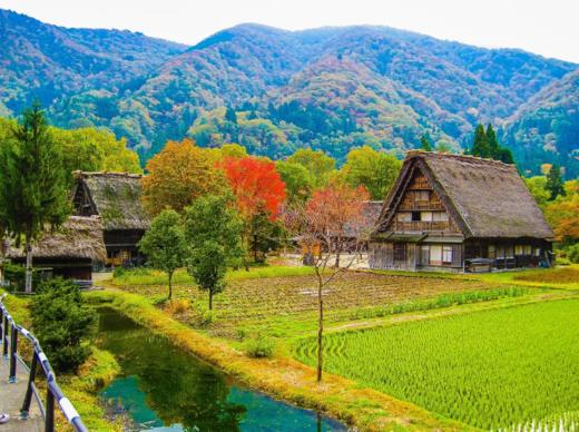 大阪或京都出发 白川乡 高山 2日游【需二次确认】B-0036 商品图3