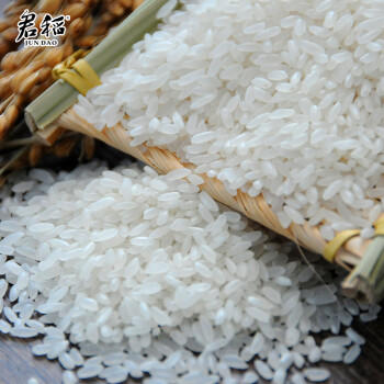 君稻 长粒香大米10kg 东北大米20斤 京东自营 年货送礼 商品图3