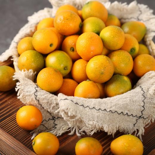 融安滑皮金桔|一口一个“小糖包”，从皮到芯都甜滋滋 商品图4