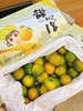 甜心18度金桔一盒 商品缩略图0