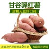 黄土情延安甘谷驿红薯5斤 商品缩略图1