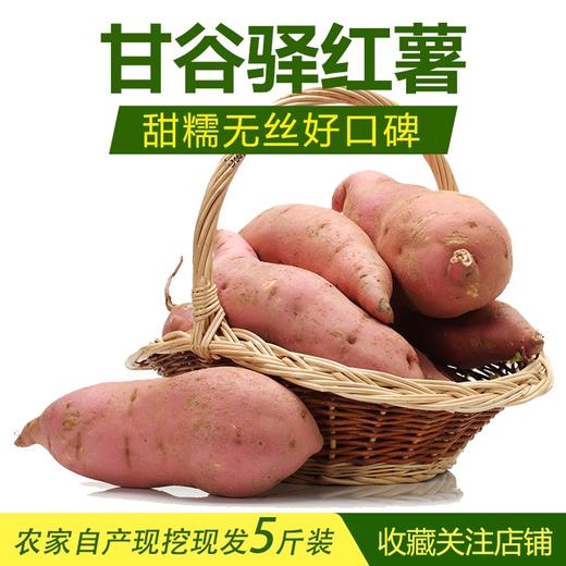 黄土情延安甘谷驿红薯5斤 商品图1