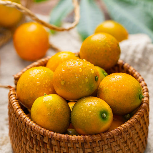 融安滑皮金桔|一口一个“小糖包”，从皮到芯都甜滋滋 商品图2