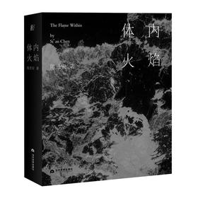 体内火焰 陈思安 著