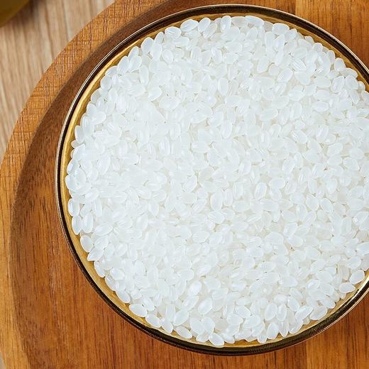 【十月稻田】香稻贡米 5kg 商品图1