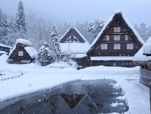 大阪或京都出发 白川乡 高山 2日游【需二次确认】B-0036 商品图4