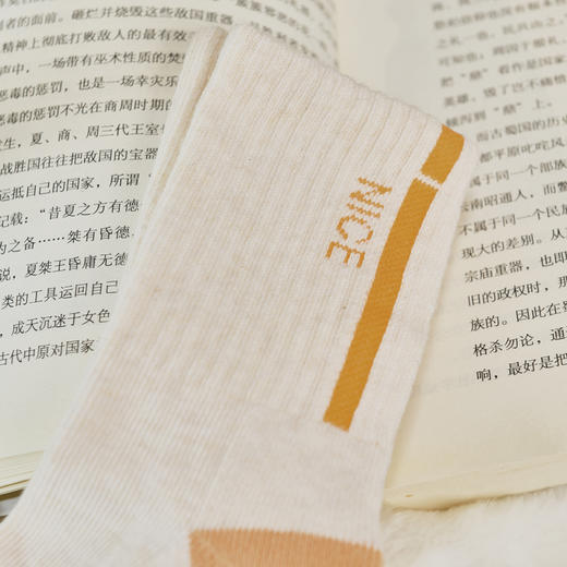 [2双装][6双6折]大童秋冬半毛圈袜【2123701】 商品图1