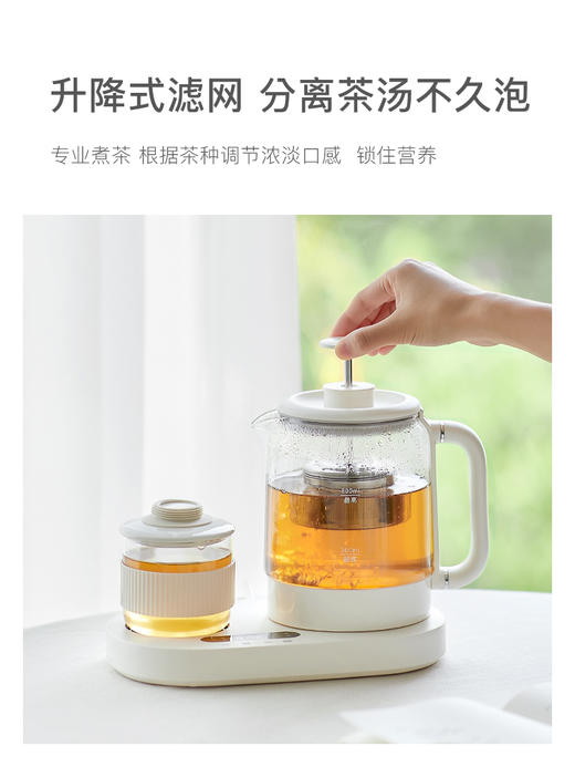 olayks欧莱克养生壶小型办公室恒温家用多功能玻璃烧水壶煮茶壶 商品图3