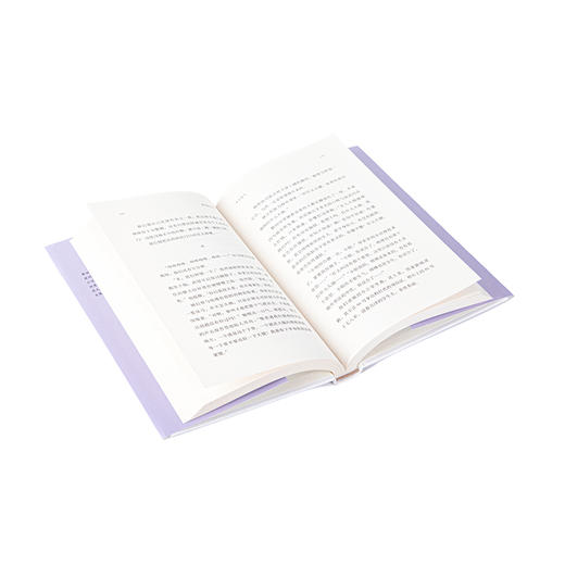 海边的房间 台湾新生代小说家黄丽群代表作 理想国 商品图3