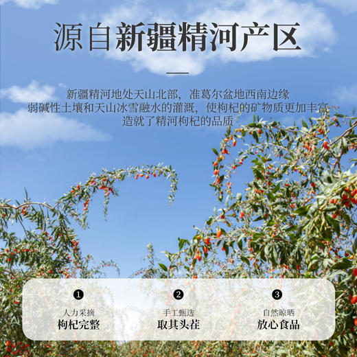 红枸杞150g（商） 商品图1