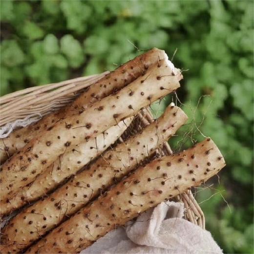 【顺丰包邮】非遗铁棍山药 多规格可选 商品图0