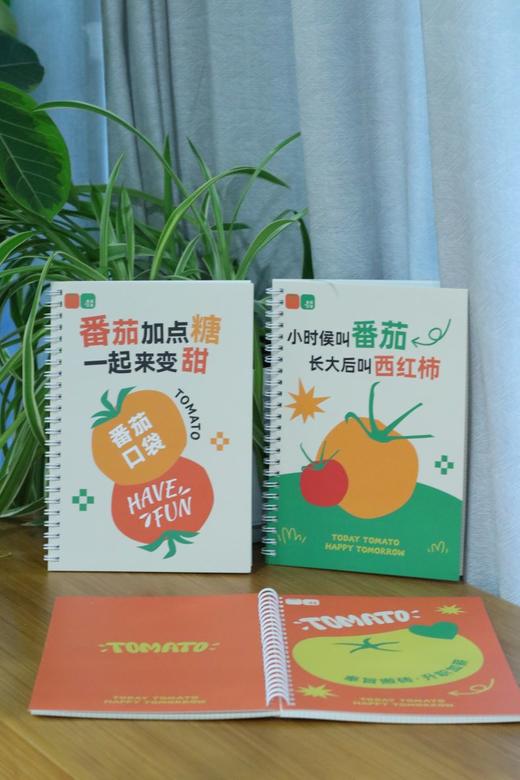 番茄口袋原创线圈本 商品图3
