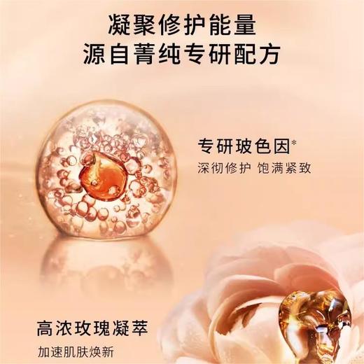 兰蔻 菁纯夜间修护面膜 75ml  L8731904-有效期至202708 商品图3