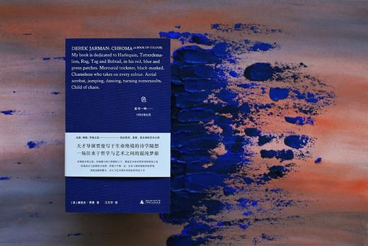 色：彩书一种——1993年6月 天才导演 德里克·贾曼 写于生命绝境的诗学随想 一场往来于哲学与艺术之间的混沌梦旅 商品图2