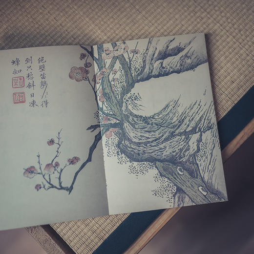 《芥子园画传》 ：中国画审美启蒙之书 商品图0