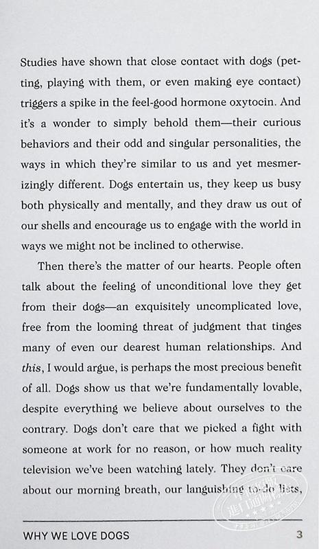 【中商原版】这是一本给爱狗的人的书 This Is a Book for People Who Love Dogs 英文原版 Meg Freitag 狗狗图鉴 商品图5
