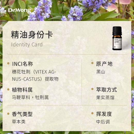贞节树 单方精油 商品图2