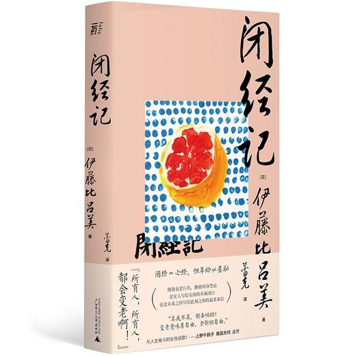 闭经记（日）伊藤比吕美 著 商品图0