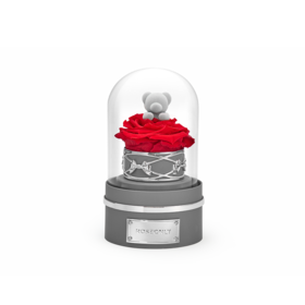 【音乐钟罩】ROSEONLY诺誓 永生玫瑰 公仔钟罩音乐球 兔 熊 独角兽款 钟罩音乐球 送朋友送家人