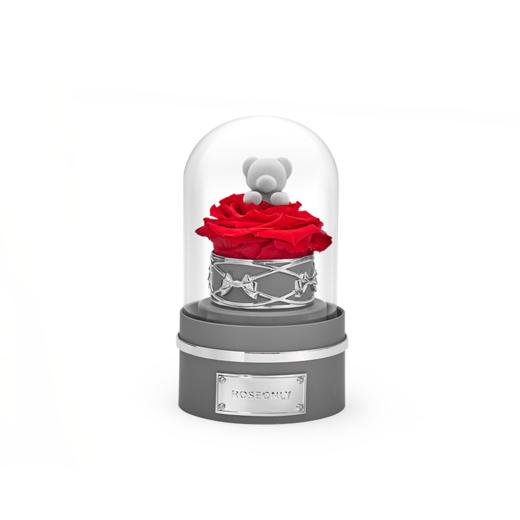 【音乐钟罩】ROSEONLY诺誓 永生玫瑰 公仔钟罩音乐球 兔 熊 独角兽款 钟罩音乐球 送朋友送家人 商品图0