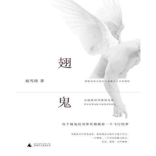 翅鬼 双雪涛 著 商品图1